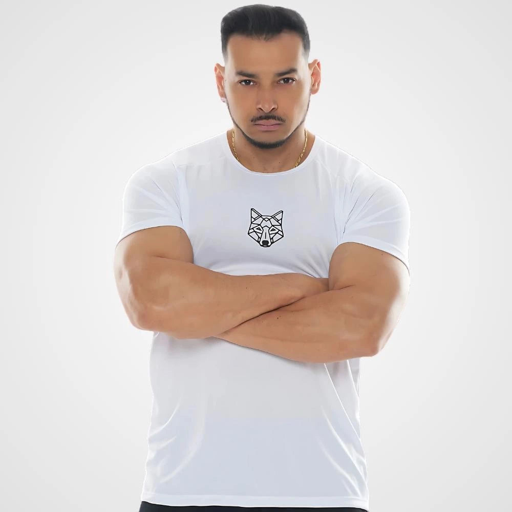 Kit 3 Camisetas Masculina Dry Alpha Co